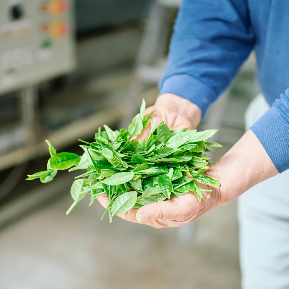 Poudre de Genmaicha – rituel latte doux et toasté