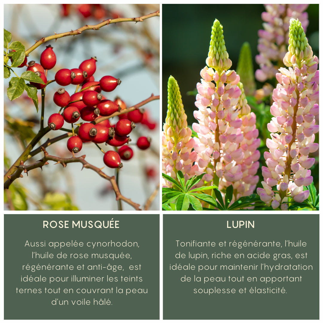 Concentré d'églantier BOOST - YOGA SPIRIT