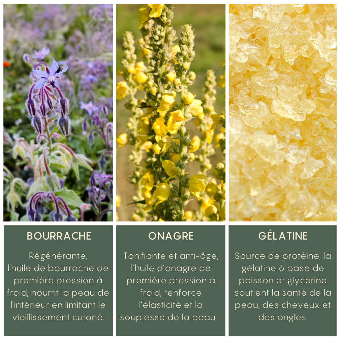 Gélules Onagre et Bourrache VITALITY - YOGA SPIRIT