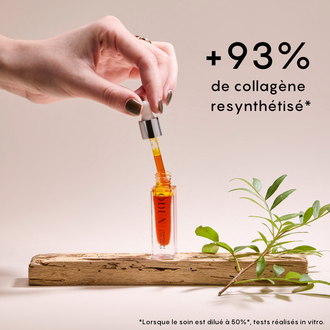 Concentré d'églantier BOOST - YOGA SPIRIT